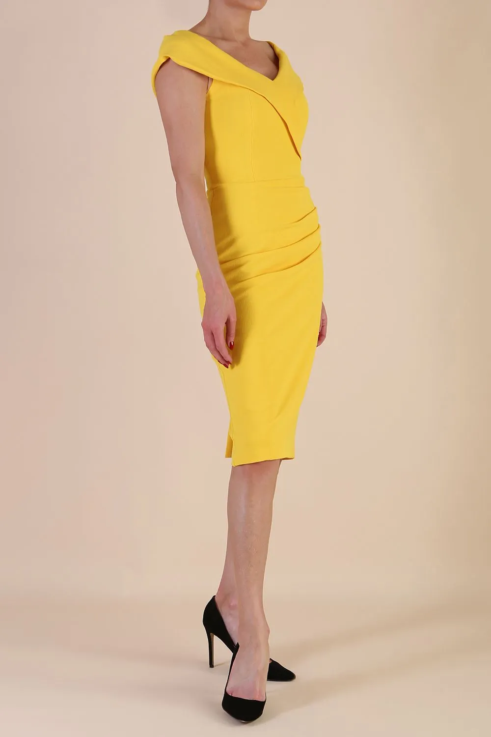 Fenella Boned Pencil Skirt Dress