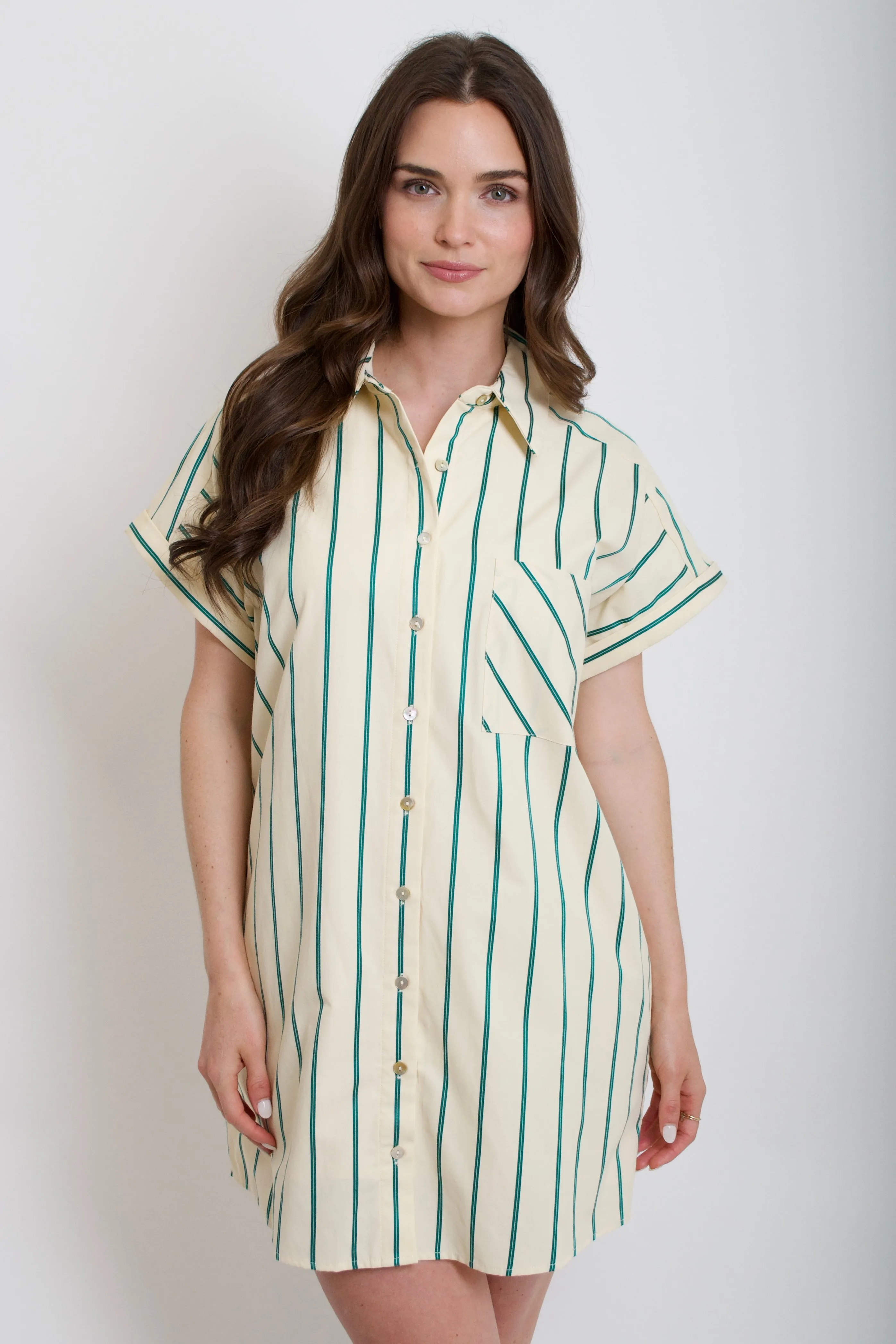 Lana Striped Shirt Dress