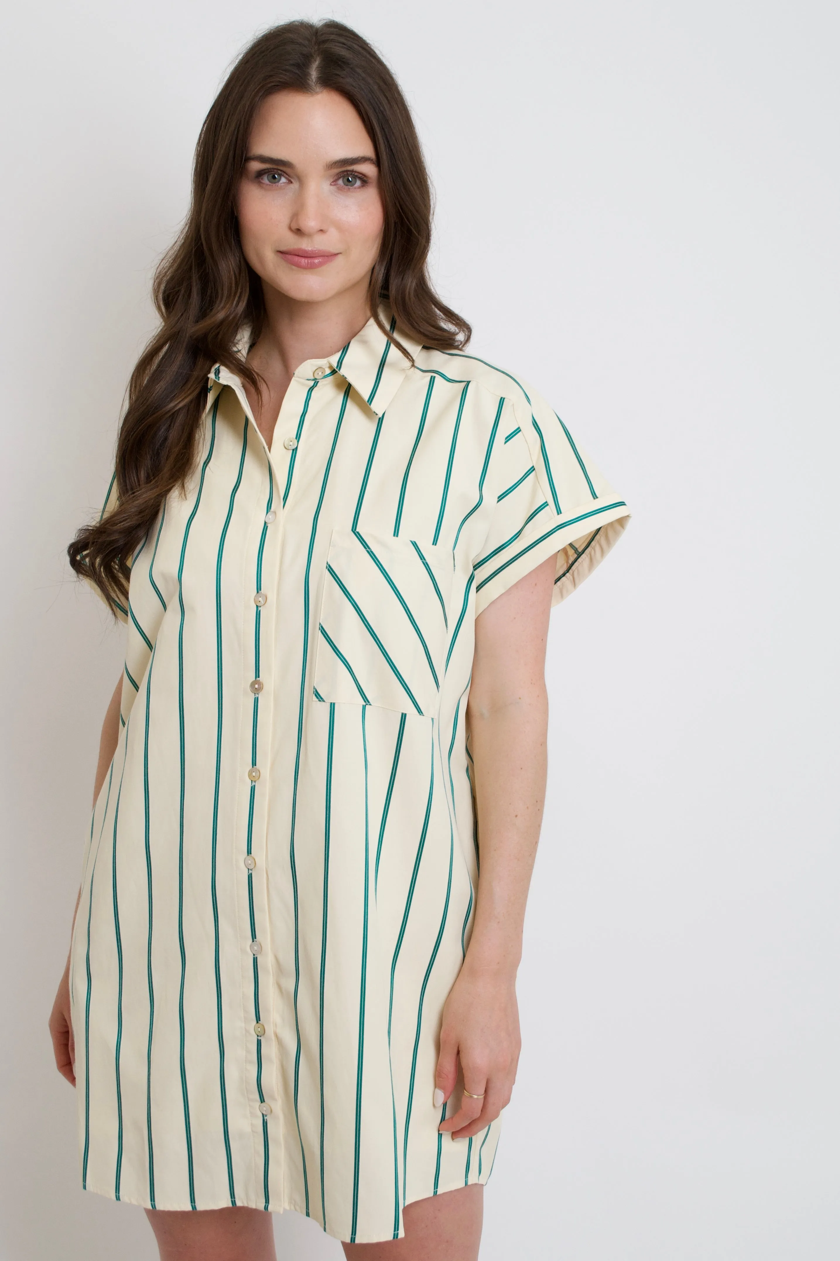 Lana Striped Shirt Dress