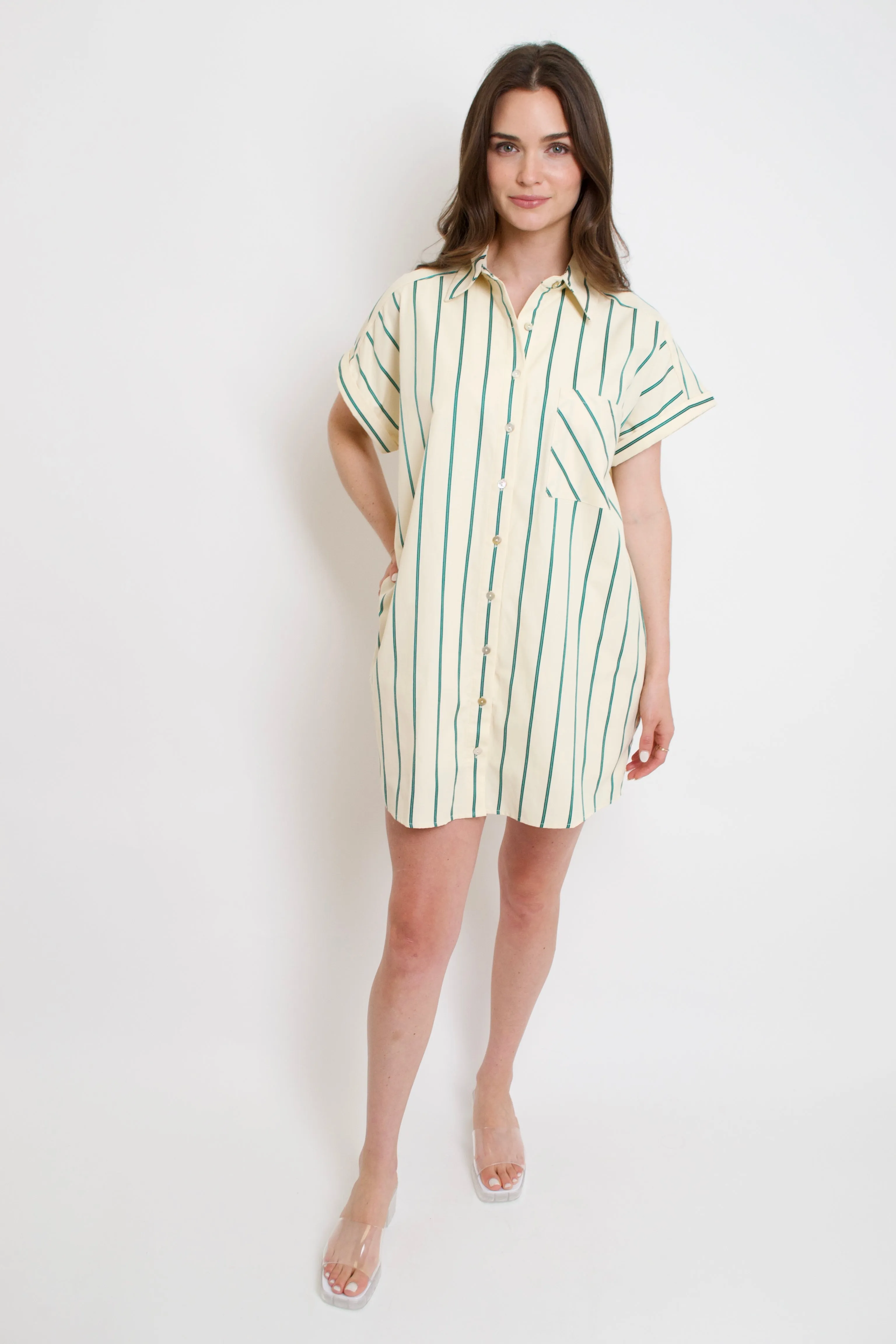 Lana Striped Shirt Dress